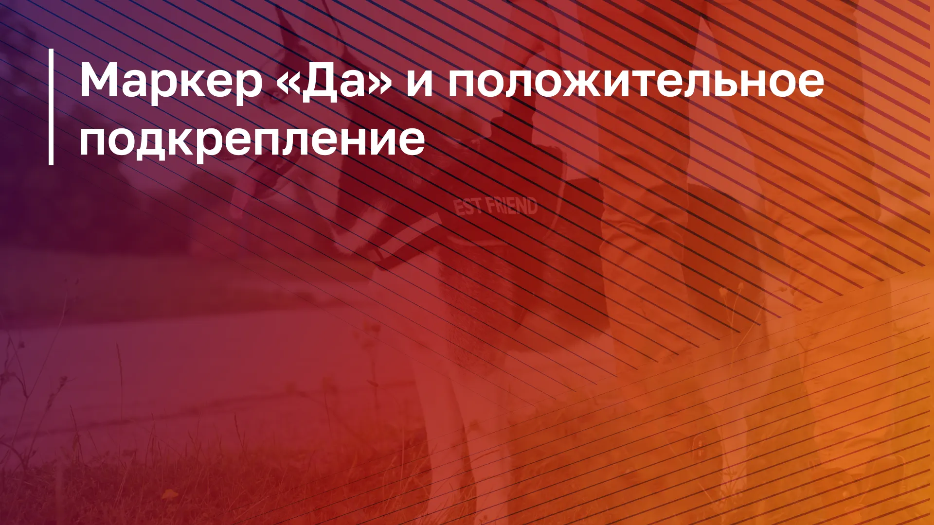 Обложка курса
