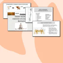 Презентация 