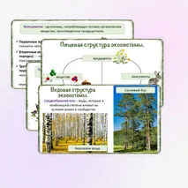 Презентация «Понятие о природном сообществе. Взаимосвязи организмов в природных сообществах», 5 класс