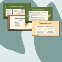 Презентации по биологии на тему:«Классификация тканей животных и растений»