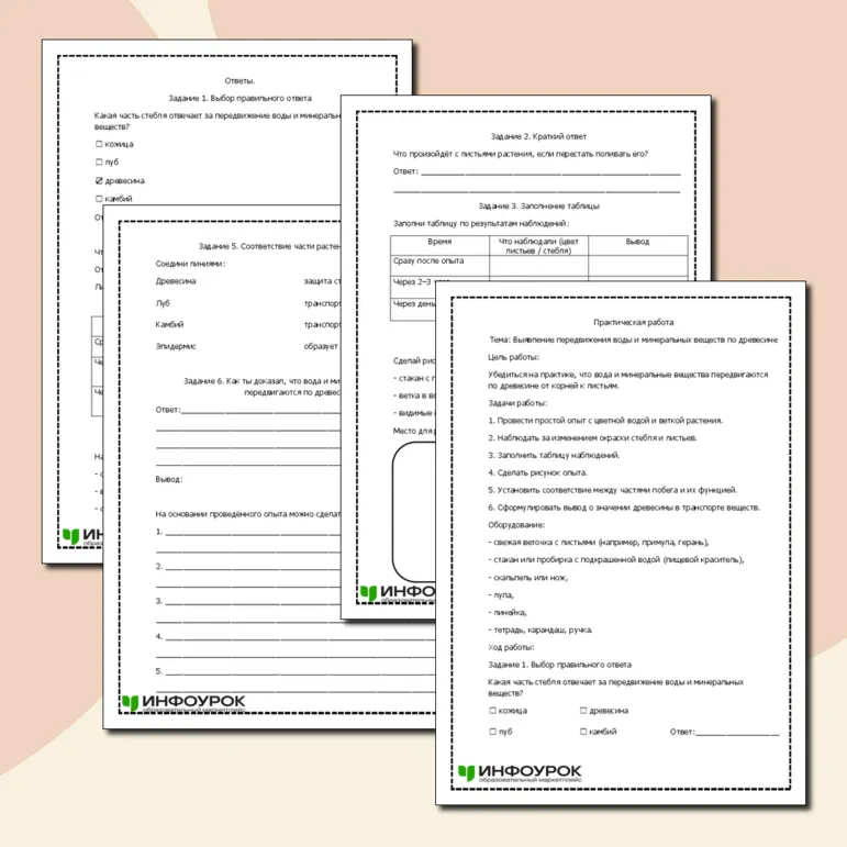 Практическая работа по теме: «Выявление передвижения воды и минеральных веществ по древесине»