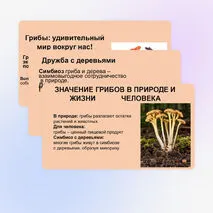 Презентация 