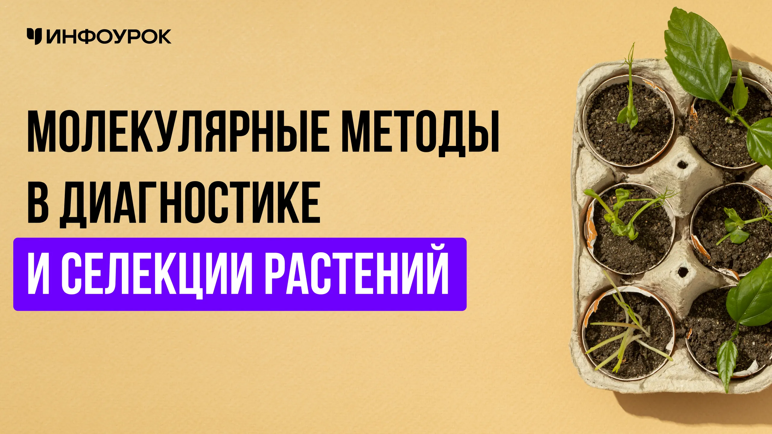 Обложка курса