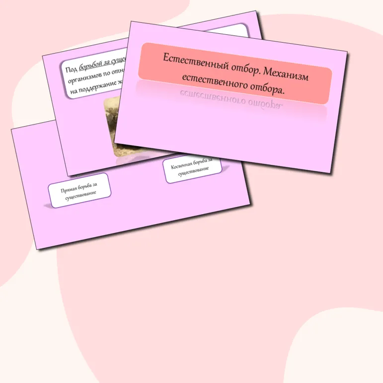 Презентация 