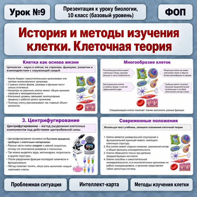 Презентация по биологии (10 класс) «История и методы изучения клетки. Клеточная теория» (В.В. Пасечник)
