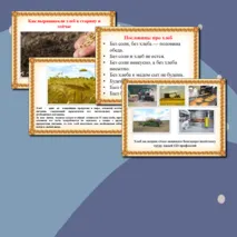 Мультимедийная презентация 