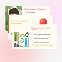 Презентация по биологии 