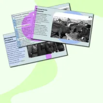 Восстановление и развитие экономики и социальной сферы