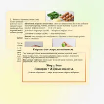 Презентация «Жиры: гидролиз, применение, биологическая роль жиров»