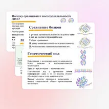 Презентация 