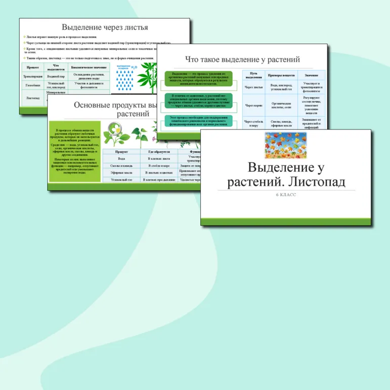 Презентация по теме: «Выделение у растений. Листопад». 6 класс