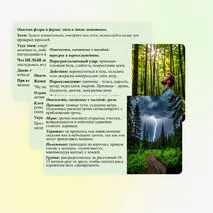 Презентация «Безопасность в природной среде: тактика действий». ОБЗР, 11 класс