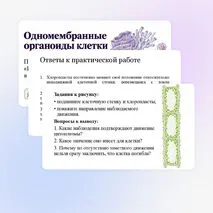 Презентация 
