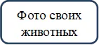 Фото своих животных