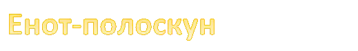 Енот-полоскун 