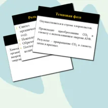 Презентация по биологии на тему 