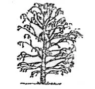 1YixgYs2ncw.jpg