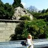 Саламанова Анжела Владимировна