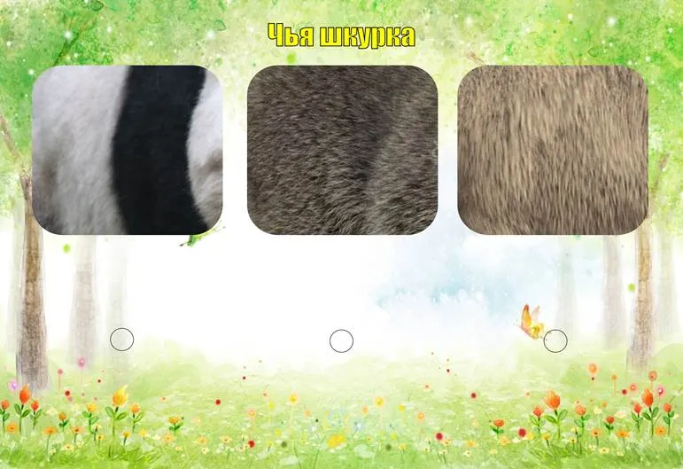 IMG_256
