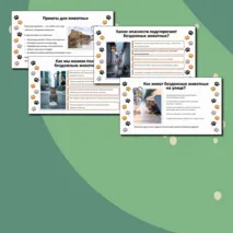 Презентация «Международный день защиты бездомных животных — 16 августа»