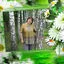 Автор материала