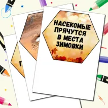 Гексы для оформления 