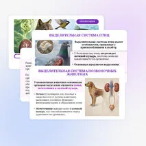 Презентация по биологии «Выделение у животных» для 8 класса