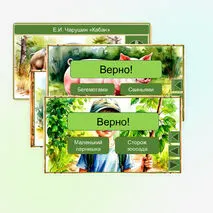 Викторина «Кабан» Е.И. Чарушин