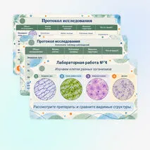 Презентация 