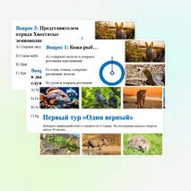 Квиз по теме 