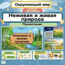 «Неживая и живая природа. Явления природы» презентация к уроку окружающего мира во 2 классе