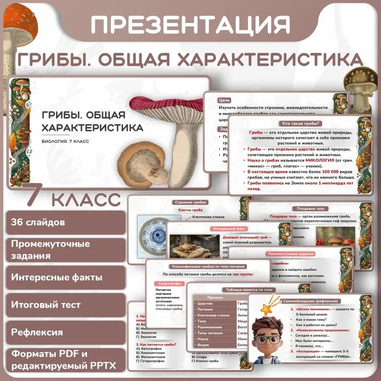 Презентация 