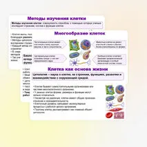 Презентация по биологии (10 класс) «История и методы изучения клетки. Клеточная теория» (В.В. Пасечник)