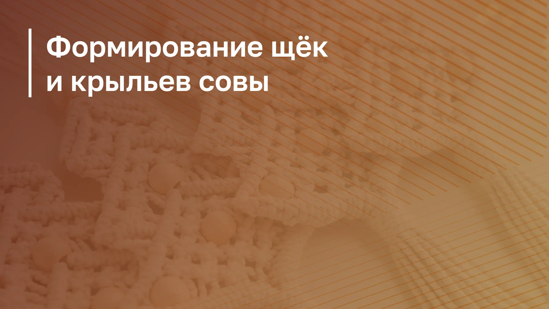 Обложка курса