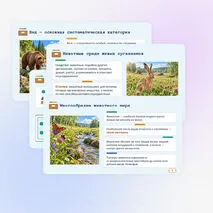 Презентация по биологии «Основные категории систематики животных», 8 класс, § 14 (по В. В. Пасечнику)
