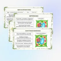 Презентация по биологии «Растительная клетка, её изучение»