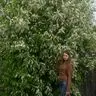 Веселова Алёна Алексеевна