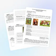 Всероссийская олимпиада школьников по ИЗО, МХК, искусству. 5 класс