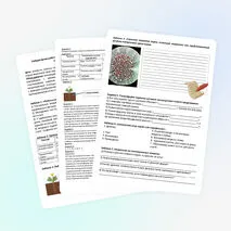 Лабораторная работа «Изучение строения корневых систем и микропрепарата клеток корня»