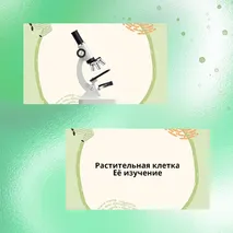 «Строение растительной клетки», 6 класс