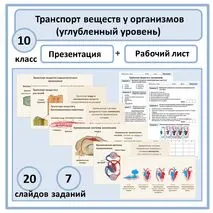 Комплект по биологии (презентация + рабочий лист) 