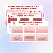 Презентация по ОБЗР 
