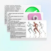 Презентация Опорно-двигательная система. Состав, строение и рост костей