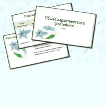 Презентация «Общая характеристика простейших. Класс Корненожки», 8 класс