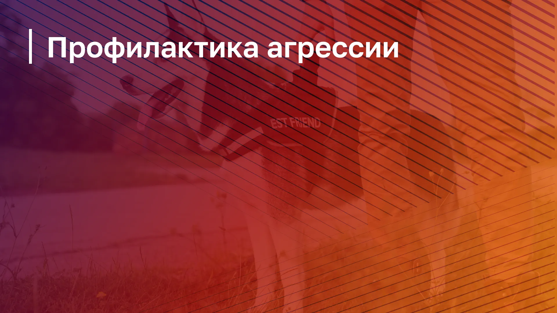 Обложка курса