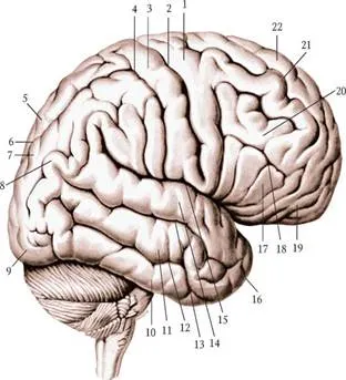 https://www.studentlibrary.ru/cgi-bin/mb4x?usr_data=gd-image(doc,ISBN9785970465776-0011,pic_0285.jpg,-1,,00000000,)&hide_Cookie=yes