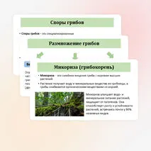 Презентация по биологии «Общая характеристика грибов» 7 класс
