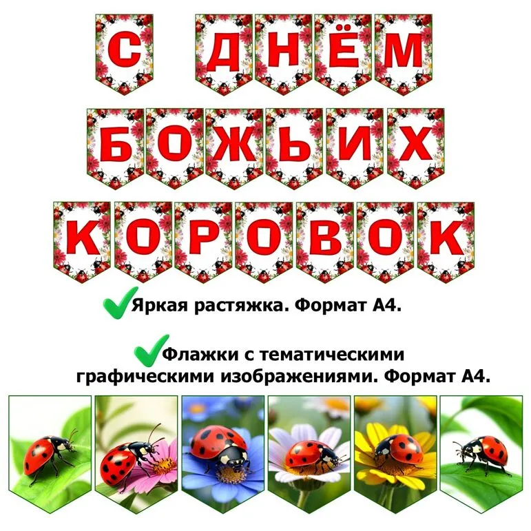 Оформление на 13 июня «День божьих коровок»: растяжка и флажки с тематическими графическими элементами. Добавлен редактируемый файл.