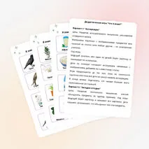 Дидактическая игра 