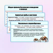 Презентация «Правила безопасного поведения в природной среде». ОБЗР. 9 класс